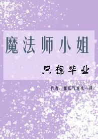 魔法师女主小说
